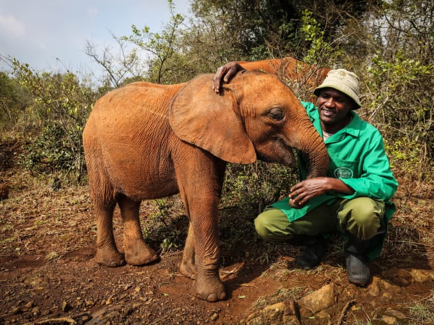 dswt-9.jpg